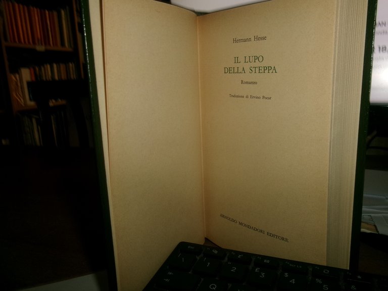 HERMANN HESSE. Il Lupo della Steppa romanzo 1970 | Immagine Gallery 4