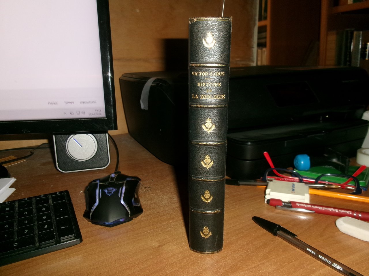 HISTOIRE de la Zoologie depuis l' antiquité jusqu'au XIX Siècle. … | Immagine principale