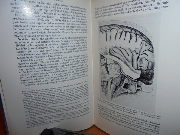 Historical Aspects of Cerebral Anatomy