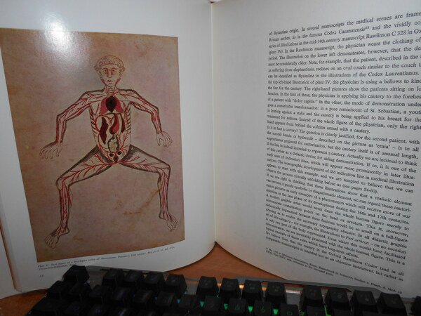 History of medical illustration from antiquity to A.D. 1600.