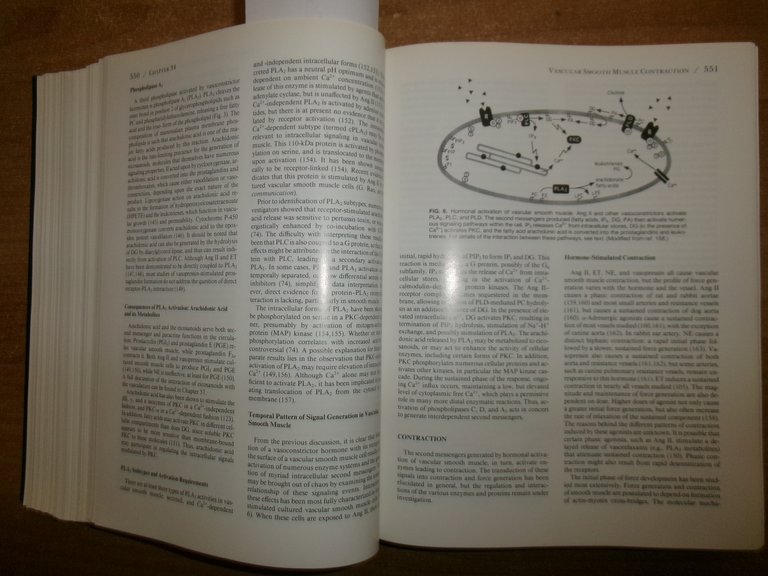 HYPERTENSION Pathophysiology, Diagnosis, and...Volume One LARAGH. BRENNER 1995