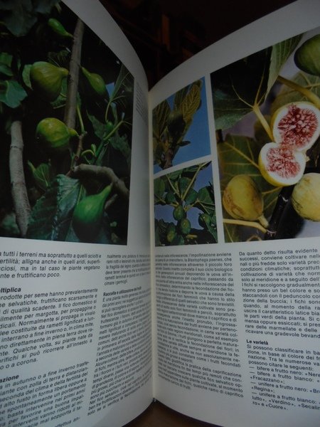 I buoni frutti come riconoscerli e coltivarli