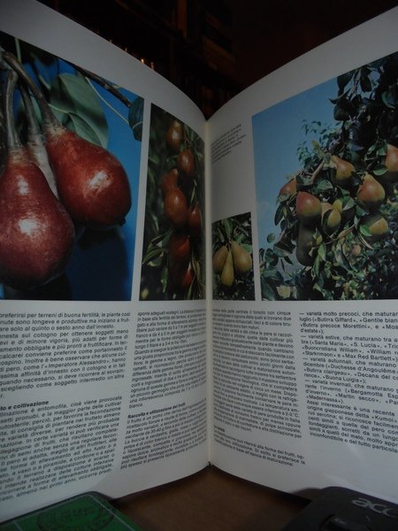 I buoni frutti come riconoscerli e coltivarli