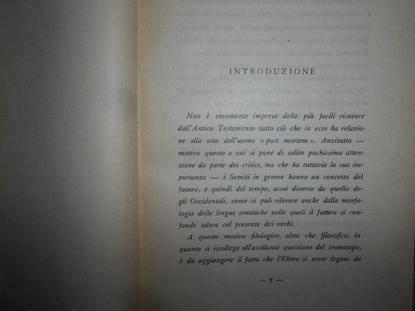 I concetti della vita d' oltretomba nell' antico testamento