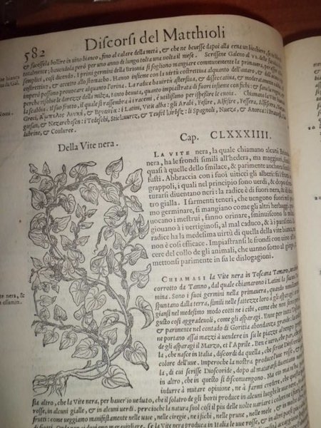 I Discorsi ne i sei libri della materia medicinale di …