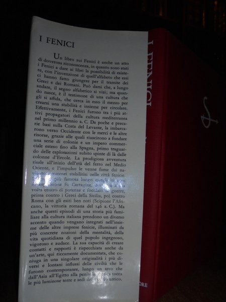 I FENICI