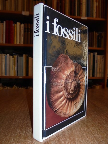 I Fossili