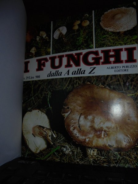 I FUNGHI DALLA A ALLA Z