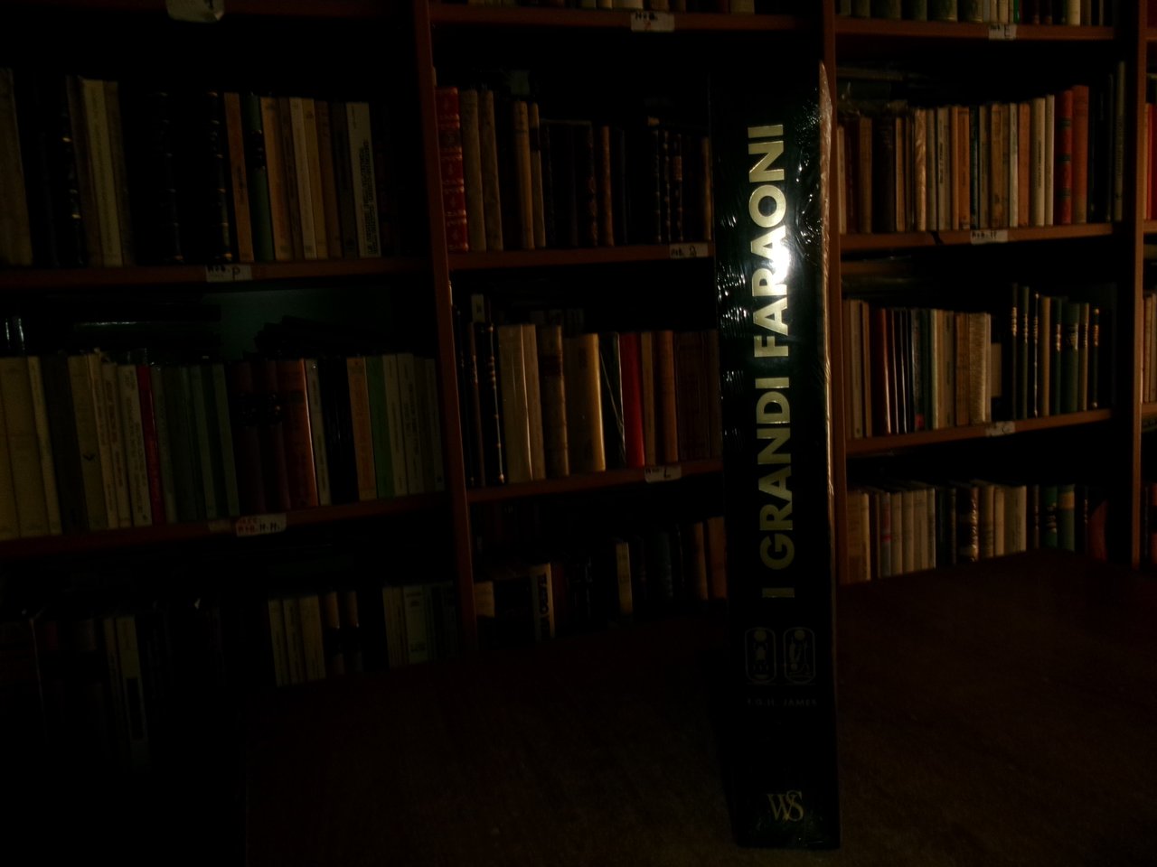 I grandi faraoni White Star S.r.l. James T.G.H. Egittologia