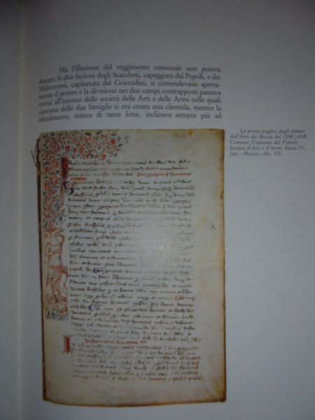 I Macellai bolognesi. Mestiere, politica e vita civile nella storia …