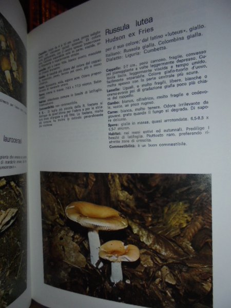 I nostri FUNGHI. Come trovarli. riconoscerli, e cucinarli