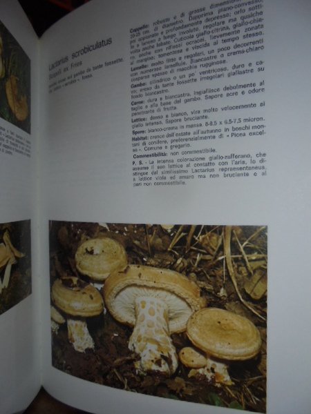 I nostri FUNGHI. Come trovarli. riconoscerli, e cucinarli