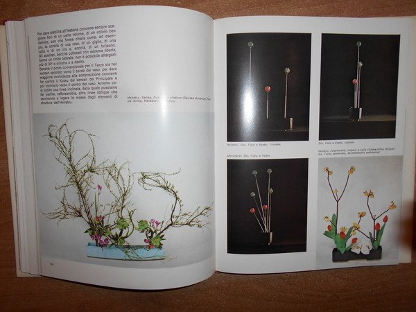 IKEBANA. L' Arte meravigliosa di disporre i fiori