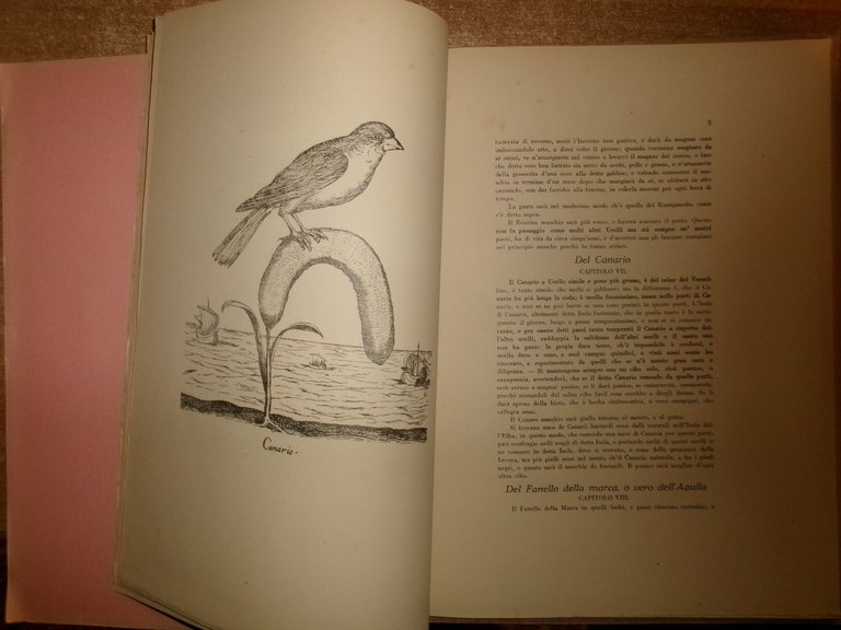 Il Canto de gl' Augelli di Antonio VALLI 1929 (Ornitologia)