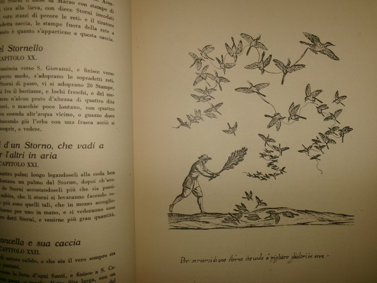 Il Canto de gl' Augelli di Antonio VALLI 1929 (Ornitologia)