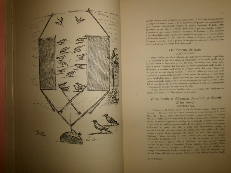 Il Canto de gl' Augelli di Antonio VALLI 1929 (Ornitologia)