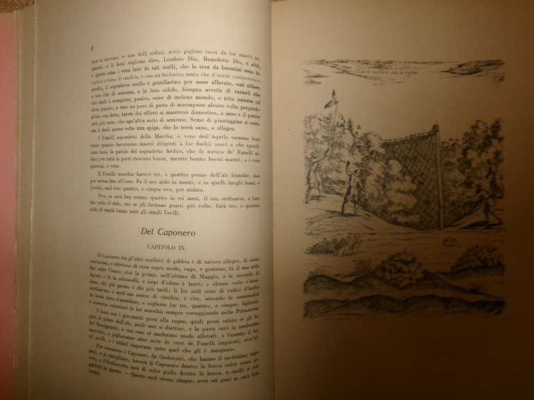 Il Canto de gl' Augelli di Antonio VALLI 1929 (Ornitologia)