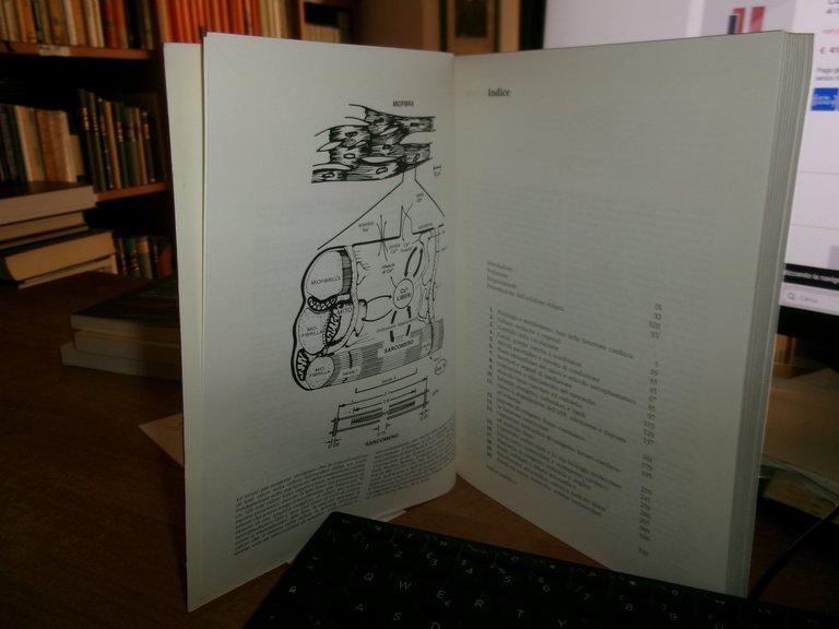 Il Cuore Fisiologia e Metabolismo. LIONEL H. OPIE 1993