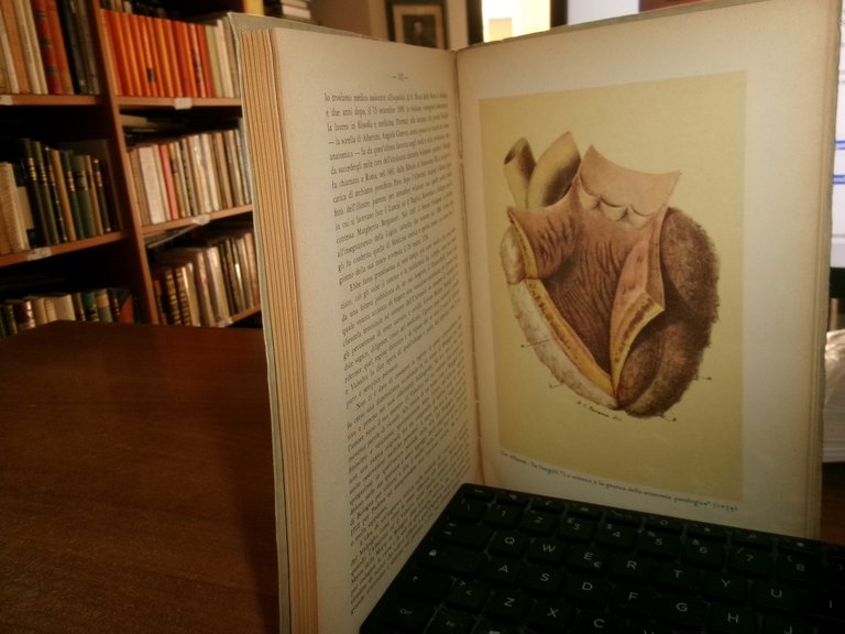 IL CUORE nella Storia della Medicina. NICOLA LATRONICO senza data