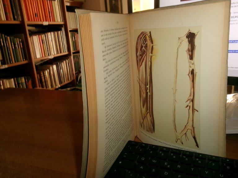 IL CUORE nella Storia della Medicina. NICOLA LATRONICO senza data