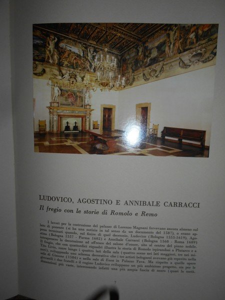 Il Fregio dei Carracci e i Dipinti di Palazzo Magnani …