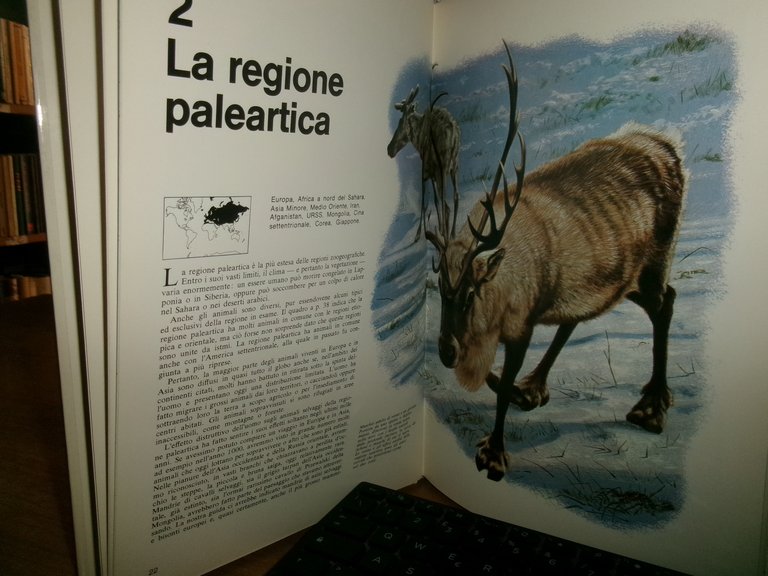 Il Libro - Atlante degli Animali selvaggi - Jacqueline Nayman … | Immagine Gallery 2