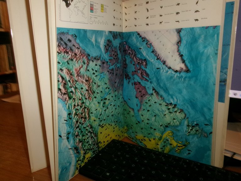 Il Libro - Atlante degli Animali selvaggi - Jacqueline Nayman … | Immagine Gallery 3