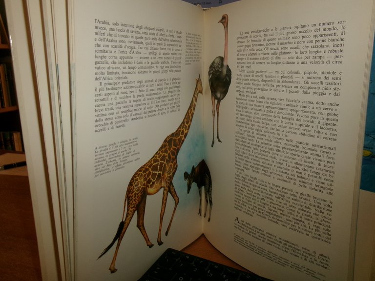 Il Libro - Atlante degli Animali selvaggi - Jacqueline Nayman … | Immagine Gallery 5