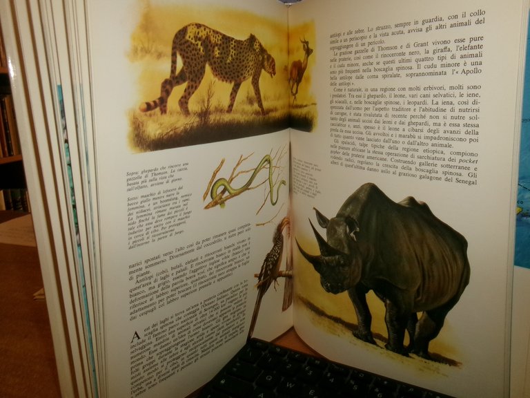 Il Libro - Atlante degli Animali selvaggi - Jacqueline Nayman … | Immagine Gallery 6