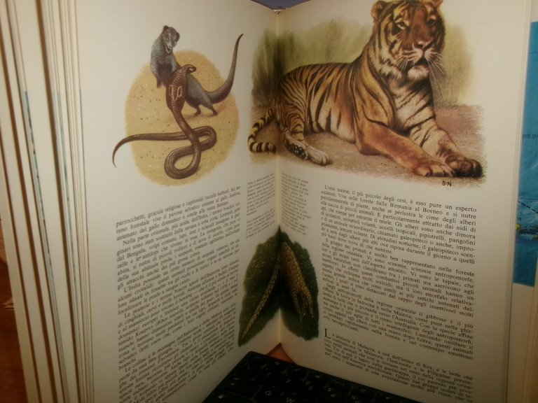 Il Libro - Atlante degli Animali selvaggi - Jacqueline Nayman … | Immagine Gallery 7