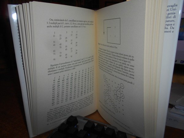 Il linguaggio segreto dei numeri. Guida alla storia e al …