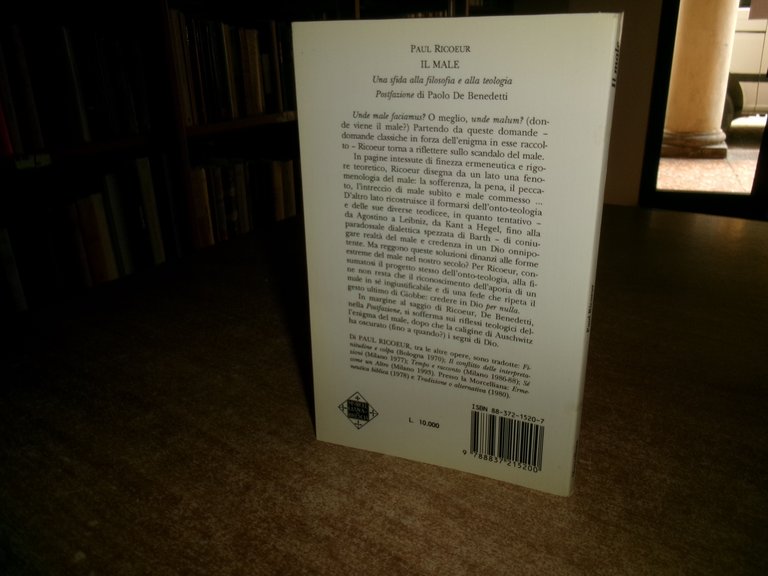IL MALE Una sfida alla filosofia e alla teologia. PAUL …