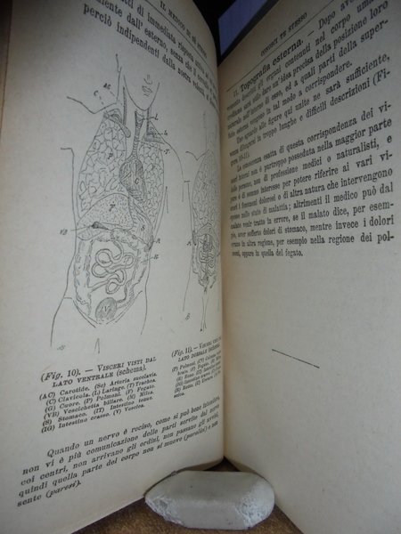 IL MEDICO DI SÈ STESSO
