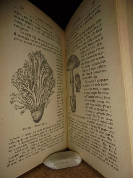IL MEDICO DI SÈ STESSO
