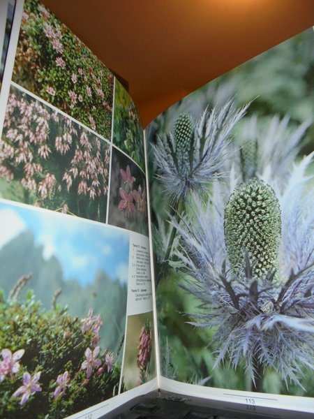 Il Mondo della Flora Alpina