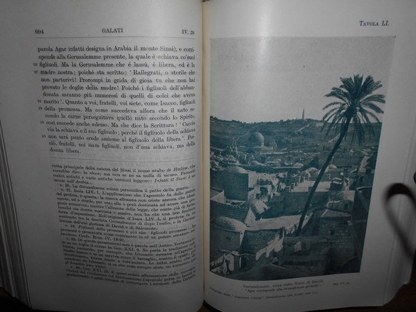 Il Nuovo Testamento tradotto dall'originale greco e i Salmi tradotti …