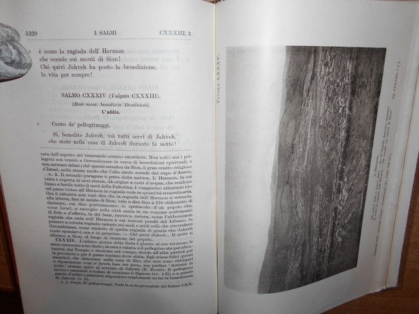 Il Nuovo Testamento tradotto dall'originale greco e i Salmi tradotti …