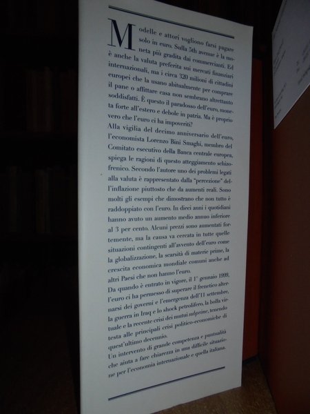 Il paradosso dell' euro. Luci e ombre dieci anni dopo