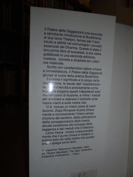 Il Potere della Saggezza
