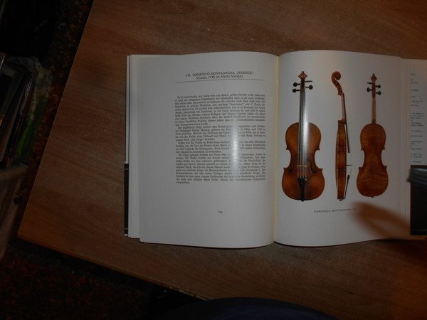 IL VIOLINO DI VECSEY - DIE GEIGE VECSEYS