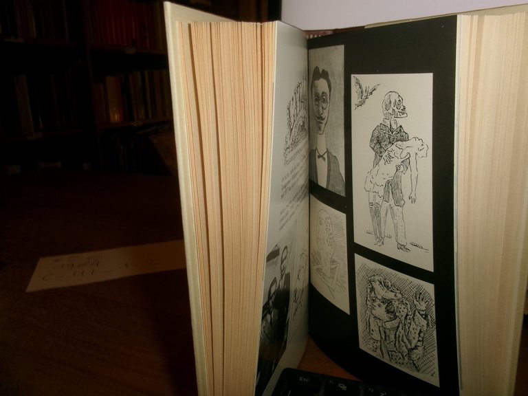 INDRO MONTANELLI - MARCELLO STAGLIENO. LEO LONGANESI 1984