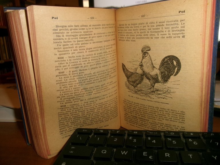 Ing. ITALO GHERSI. Ricettario... Enciclopedia Moderna per la Casa. HOEPLI, …