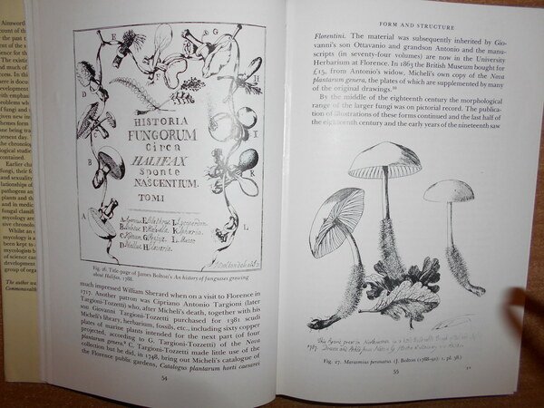 INTRODUCTION TO THE HISTORY OF MYCOLOGY