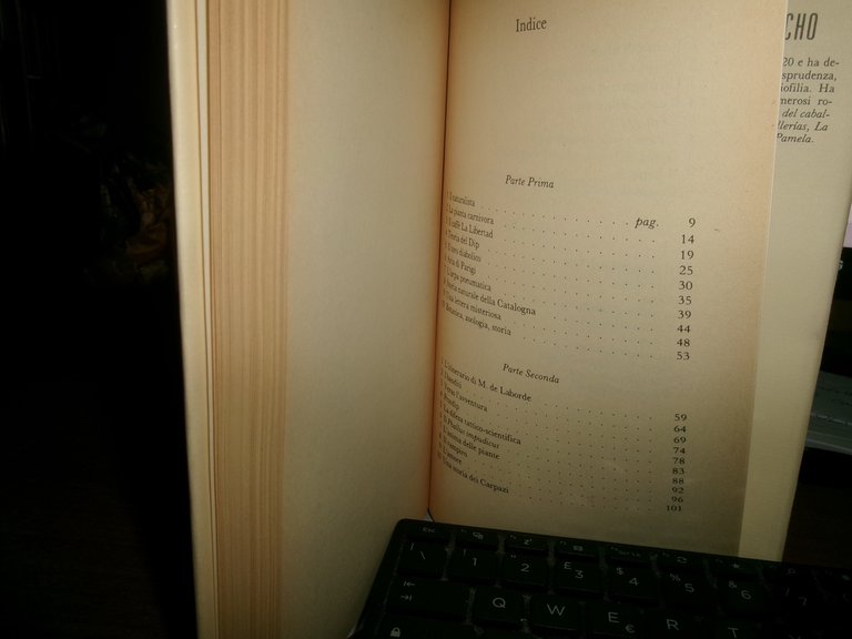 JOAN PERUCHO. Le Storie Naturali 1989