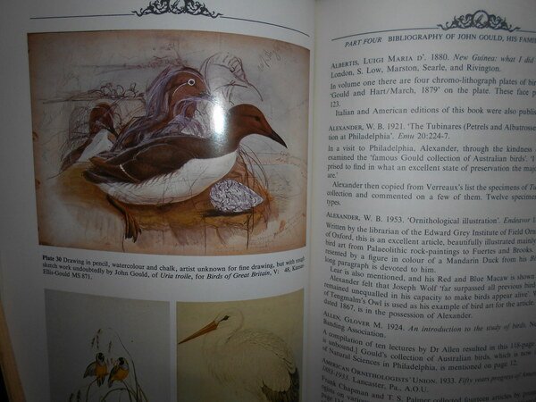 JOHN GOULD. THE BIRD MAN. A Chronology and Bibliography