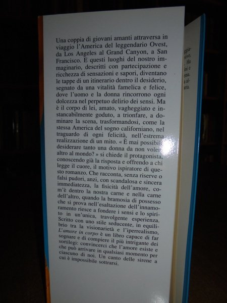L' Amore in corpo. Romanzo