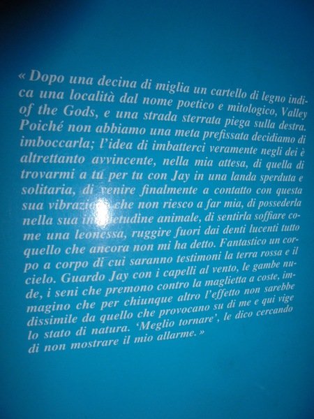 L' Amore in corpo. Romanzo
