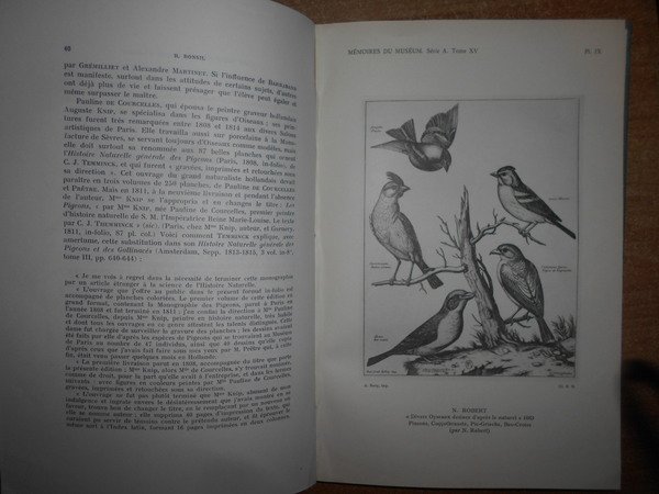 L' Art Français dans le Livre d' Oiseaux (Eléments d' …