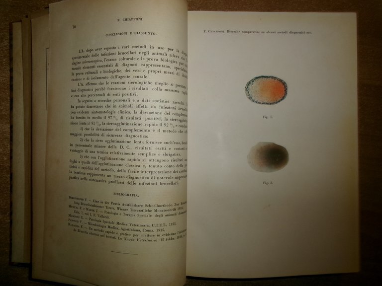 L' ATENEO PARMENSE Direttore Domenico Campanacci volume X 1938