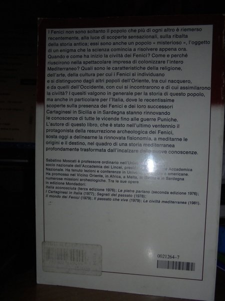 L' Enigma dei Fenici